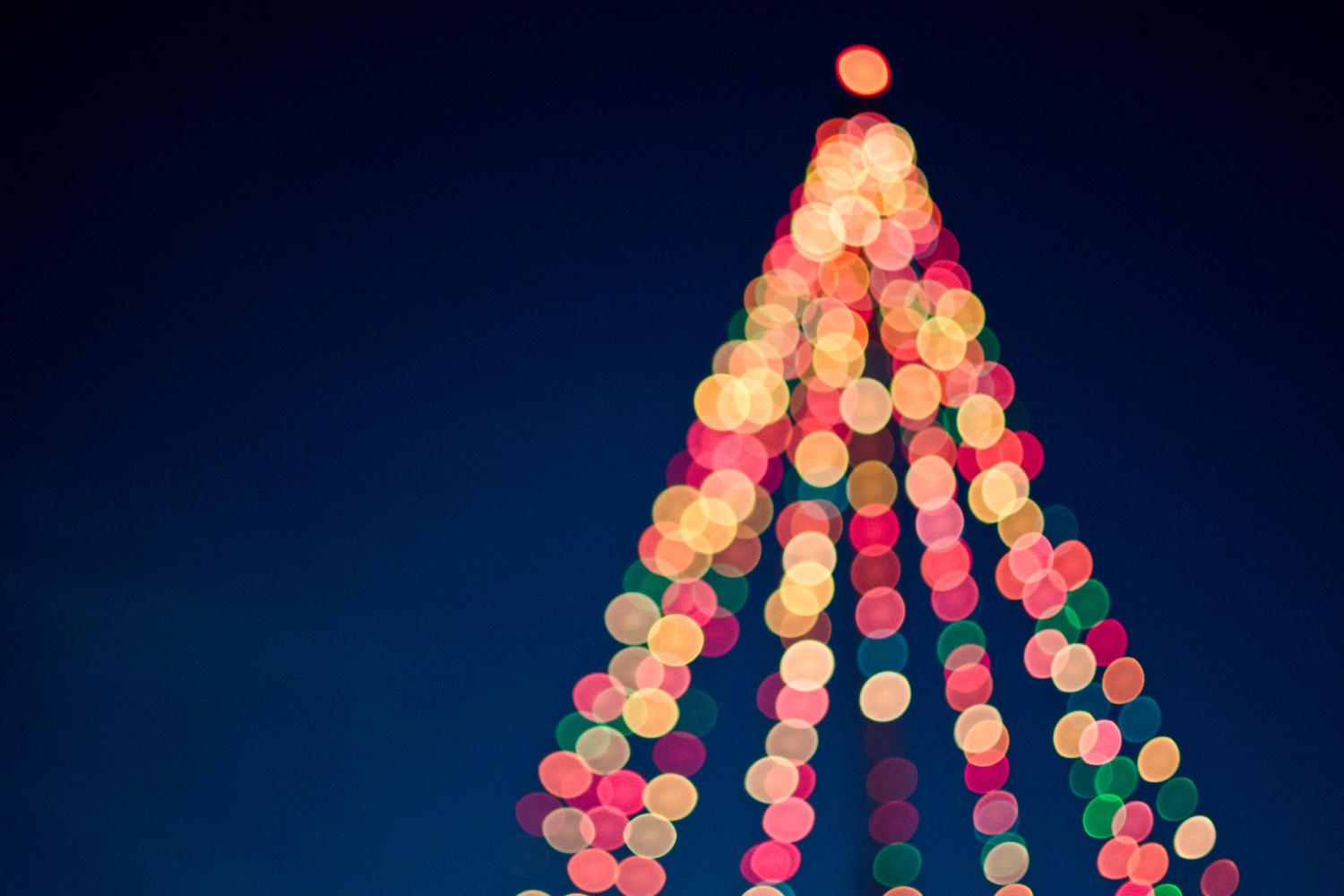 Holiday lights in the shape of a tree against a night sky at Christmas